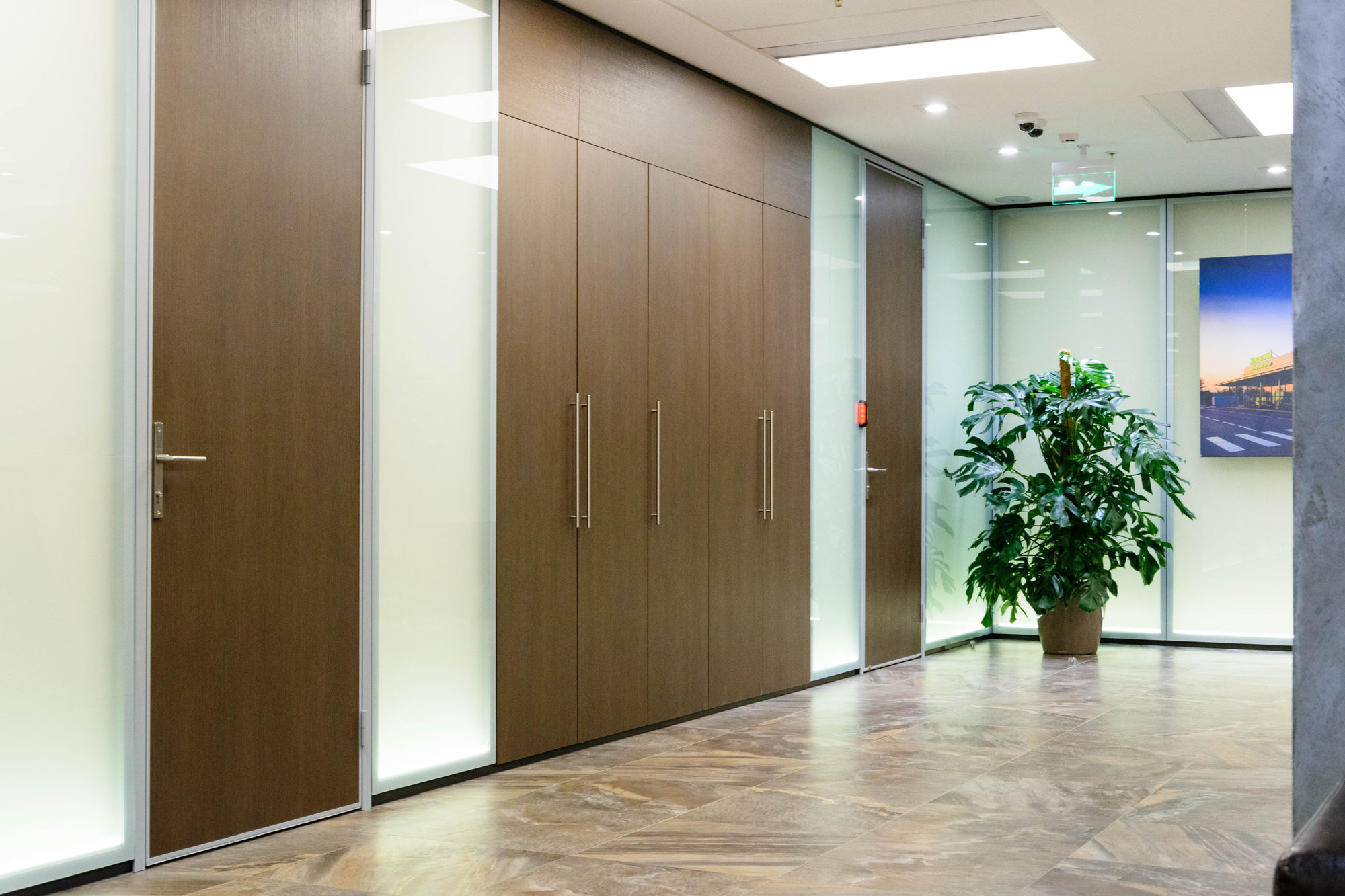 Фото Двери из стекла и ЛДСП NAYADA-Vitero